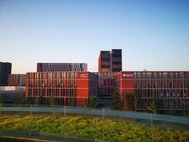 江苏二手奢侈品包包来源