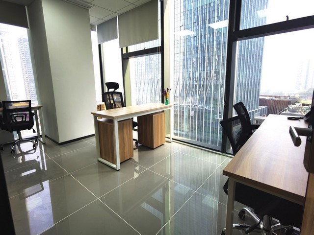 工地农业爬山虎费用是多少