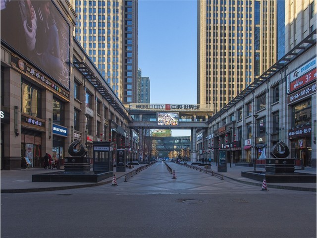 南安履带吊托链轮规格